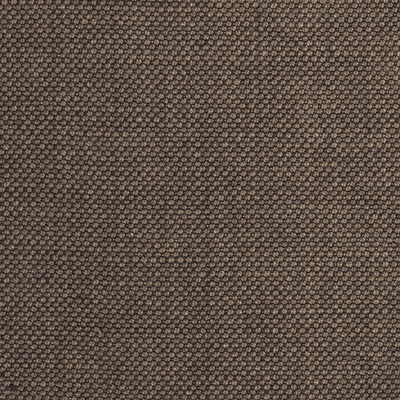 Colour swatch of Andaman Bracken