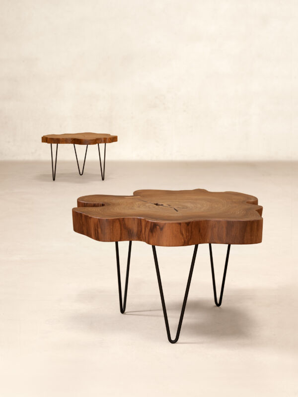 00 Tree Trunk Table Preview Updated