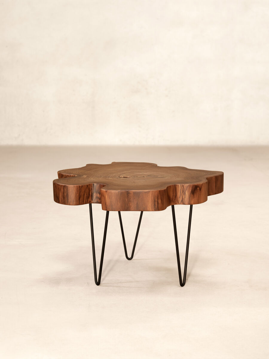 Tree Trunk Table Profile Front
