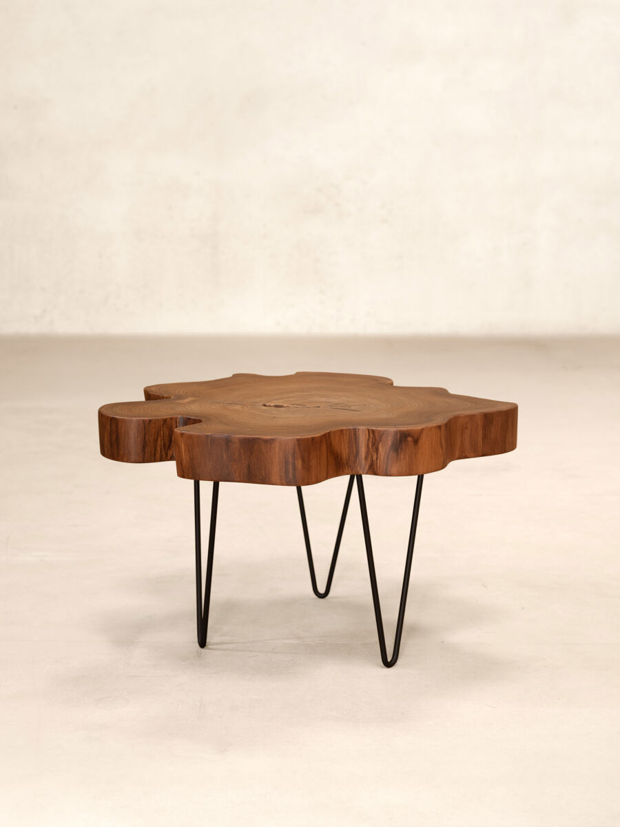 Tree Trunk Table Profile Side